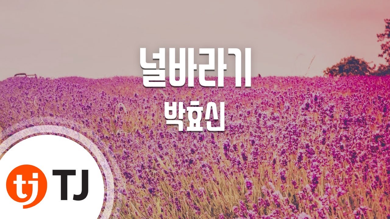 [TJ노래방] 널바라기 - 박효신 (Wishing for you - Park Hyo - shin) / TJ Karaoke