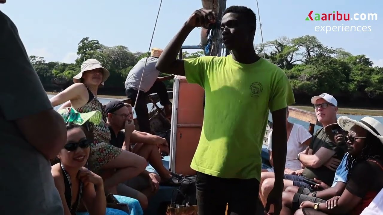 Things to do in Diani - Wasini Island Dolphin Tour