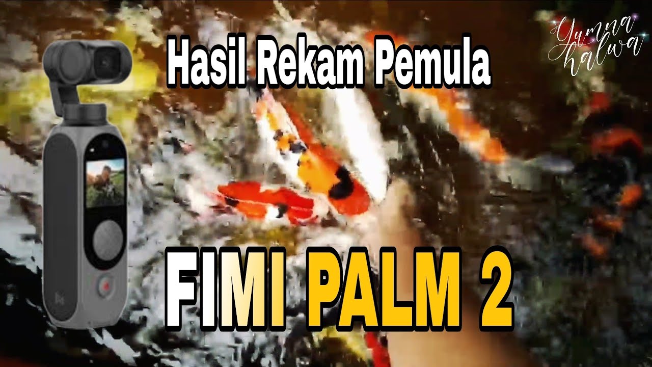 Hasil Rekam Video FIMI PALM 2 Gimbal Camera | Membuat Video Cinematic - Kolam Terpal Ikan Koi