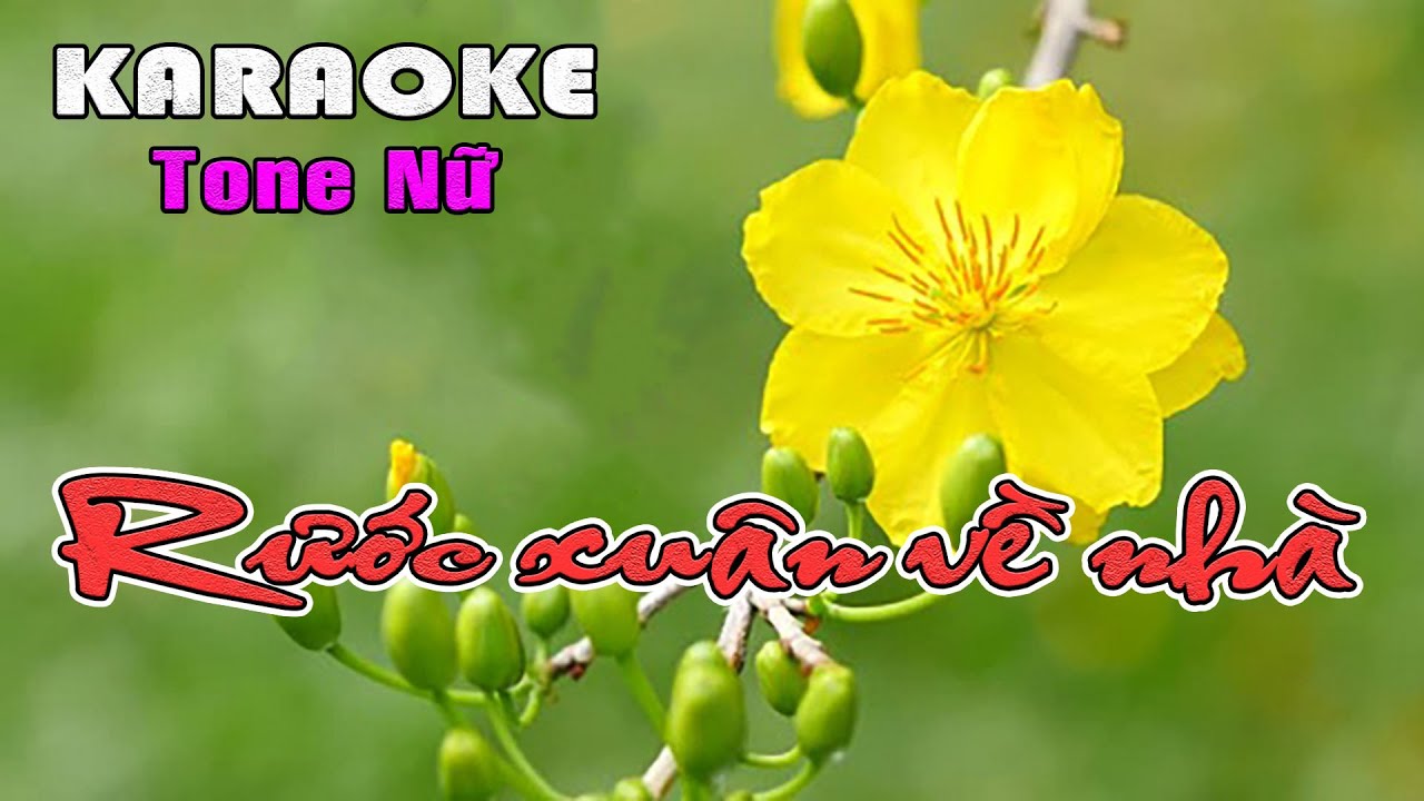 Rước xuân về nhà KARAOKE-Tone Nữ (Cm)