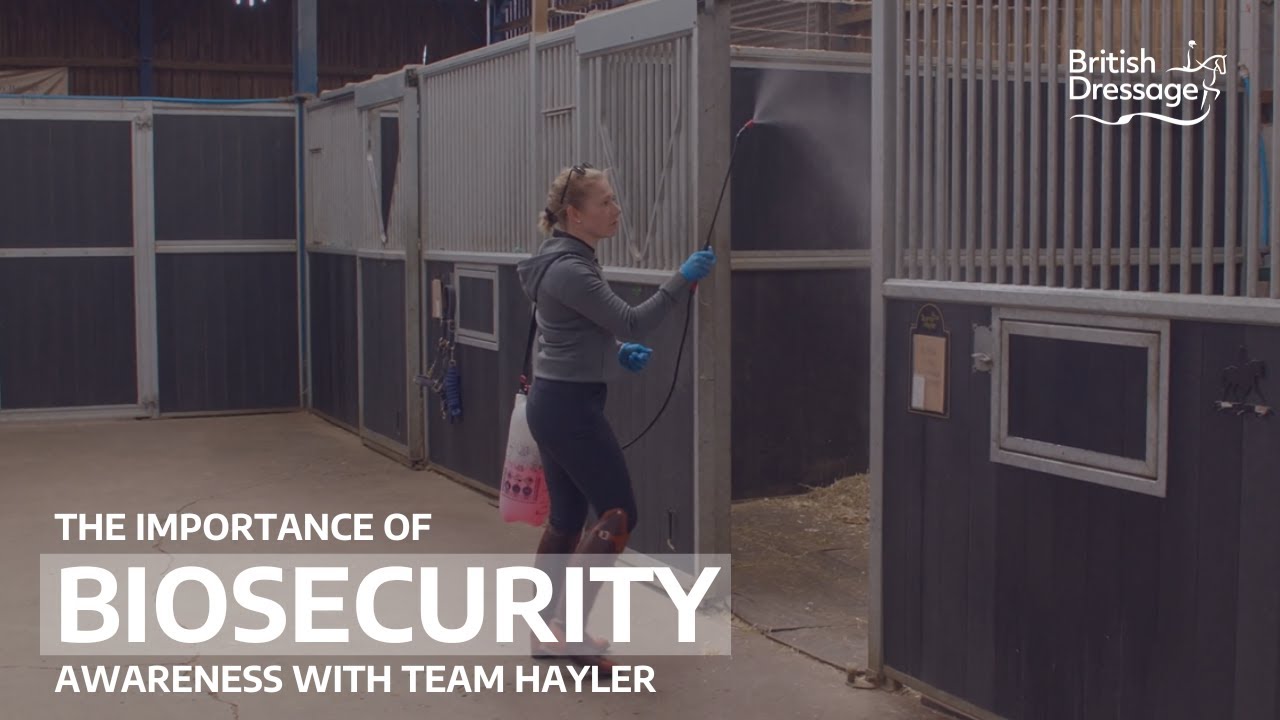 The importance of Biosecurity awareness with Team Hayler Dressage