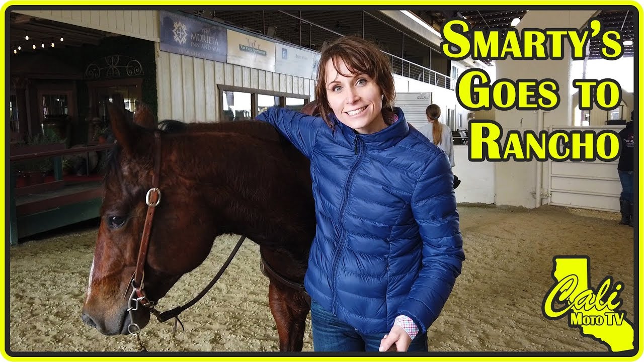 Smarty Goes To Rancho for a WCRHA Schooling Horse Show