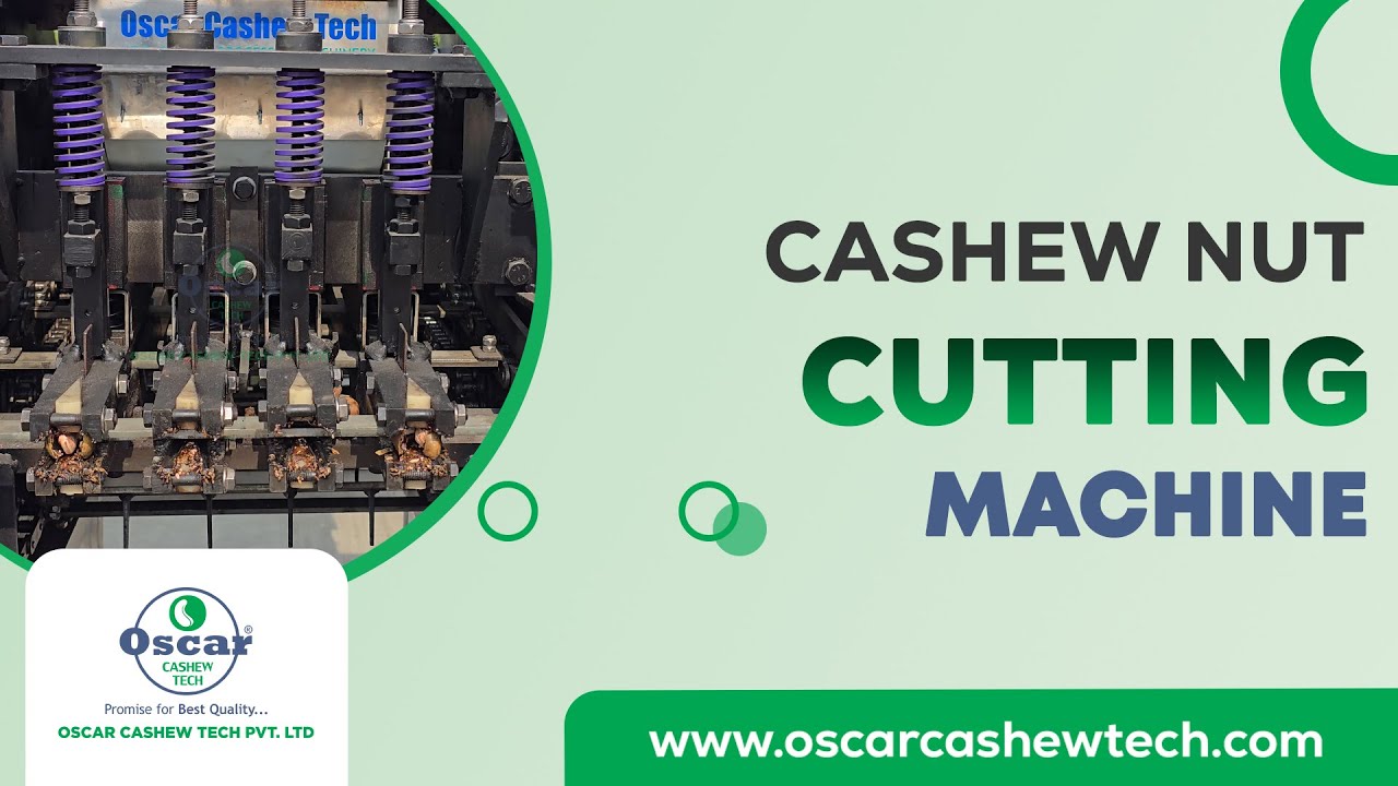 Cashew Nut Cutting Machine, Fully Automatic Turnkey Cashew Processing Plant, Cashew Processing Plant