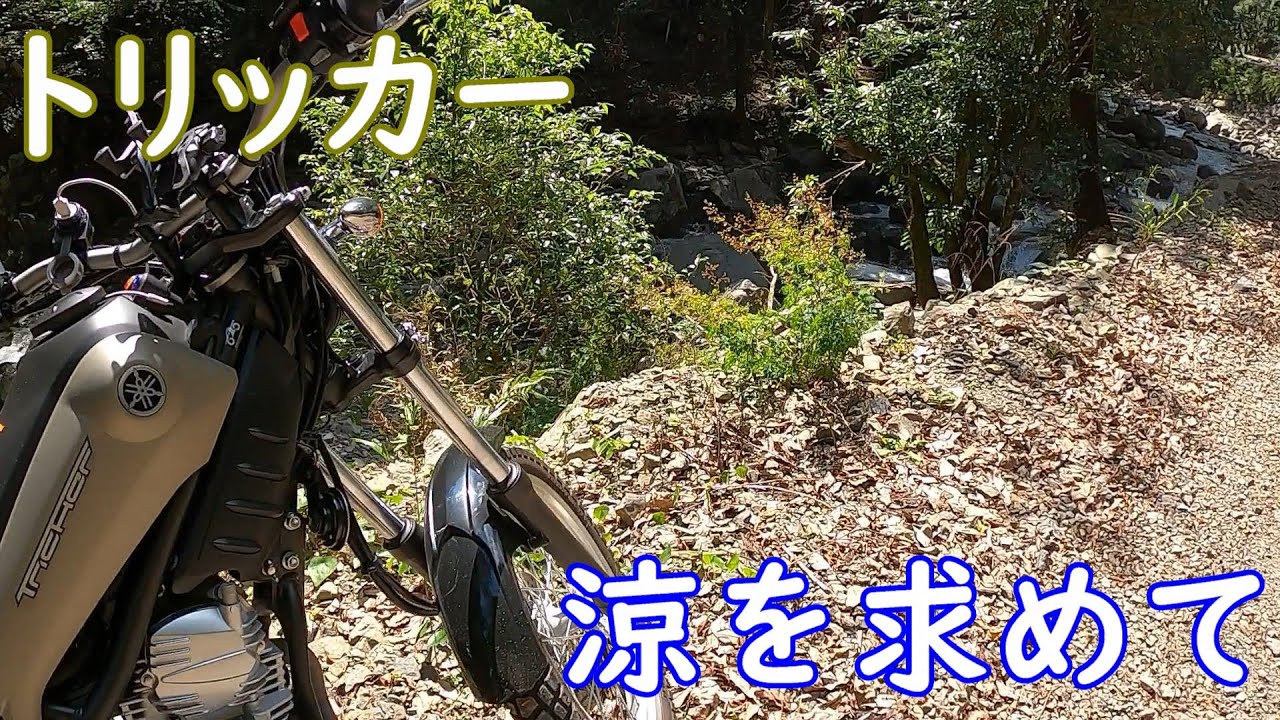 トリッカーで立秋の清涼林道ツーリングしてみた