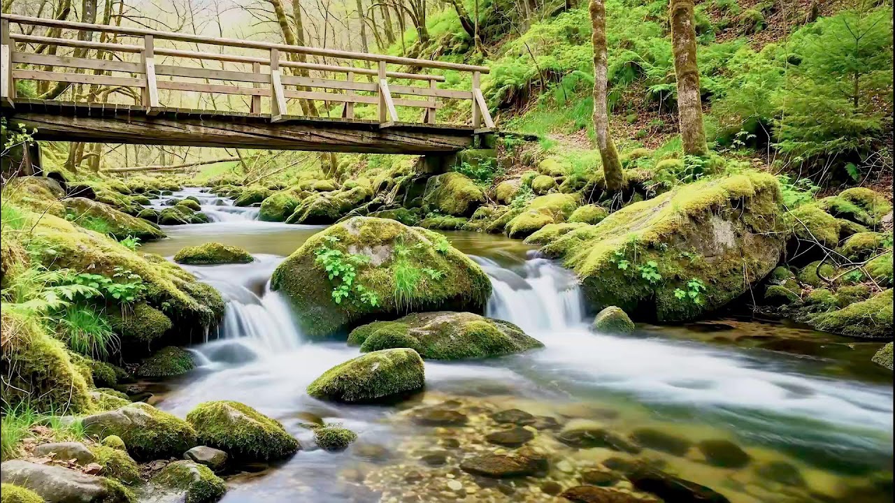 Soothing River Sound for Deep Sleep | Natural White Noise for Wellness & Calm Mind