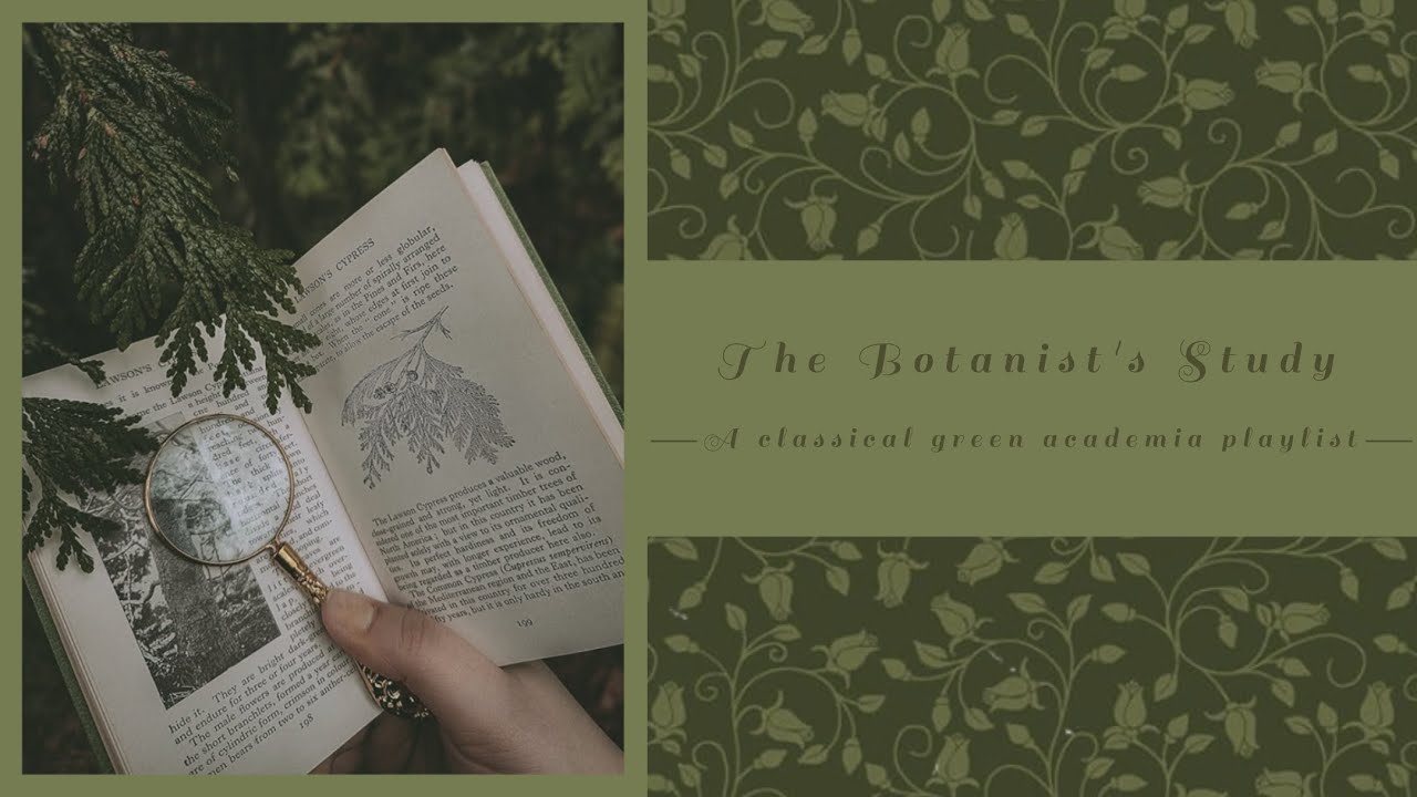 You&rsquo;re a botanist documenting a rare species | A green academia playlist for nature studies (no AI)