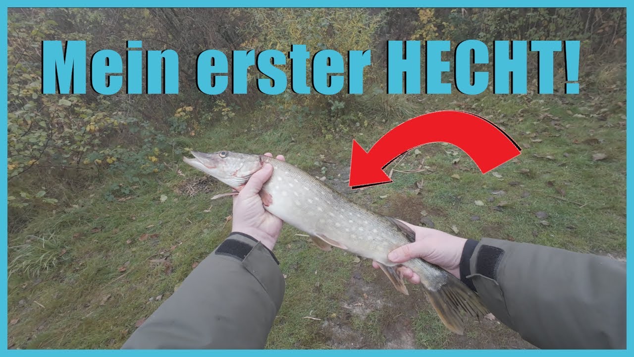Mein erster HECHT!