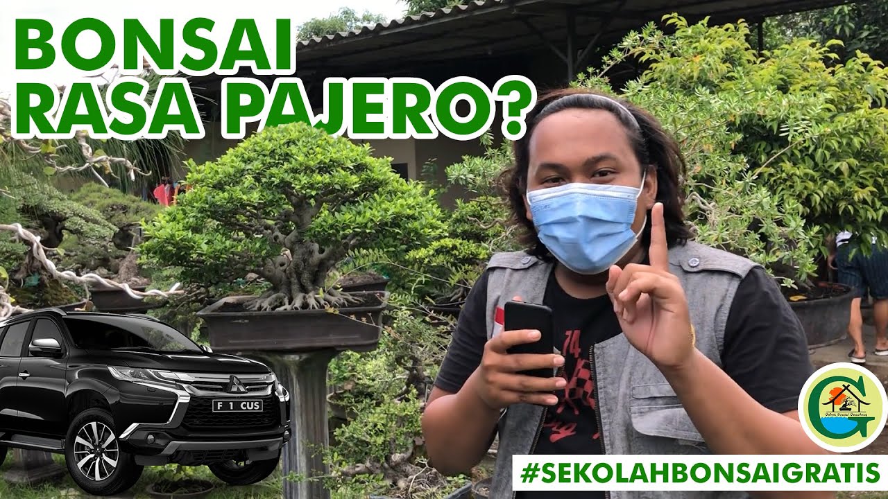 TENGOK DIKIT KOLEKSI MEWAH DR BONSAI | #SEKOLAHBONSAIGRATIS