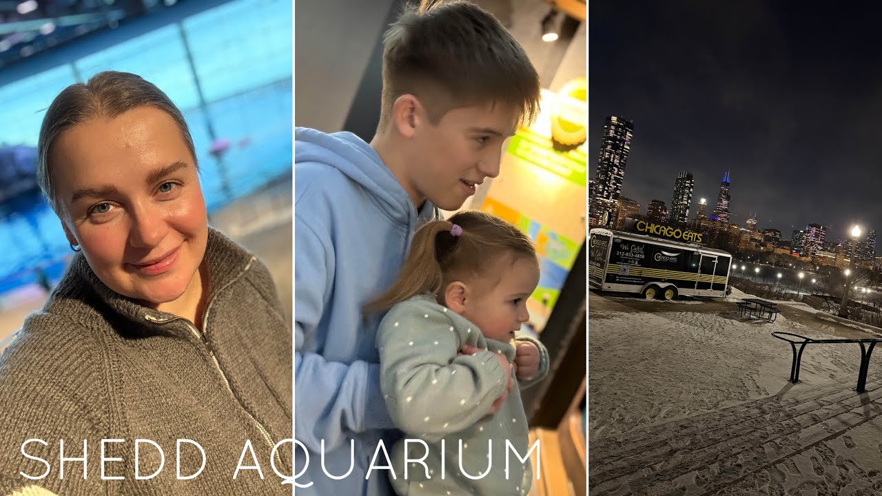 С ВАНЕЙ НА СОРЕВНОВАНИЯ/ОКЕАНАРИУМ В ЧИКАГО/SHEDD AQUARIUM 