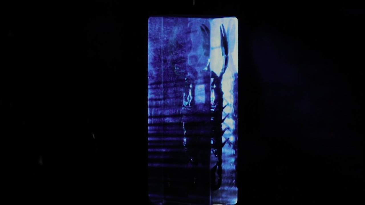 La Jungle - The Invisible Child (Calling Marian remix) (Official music video)