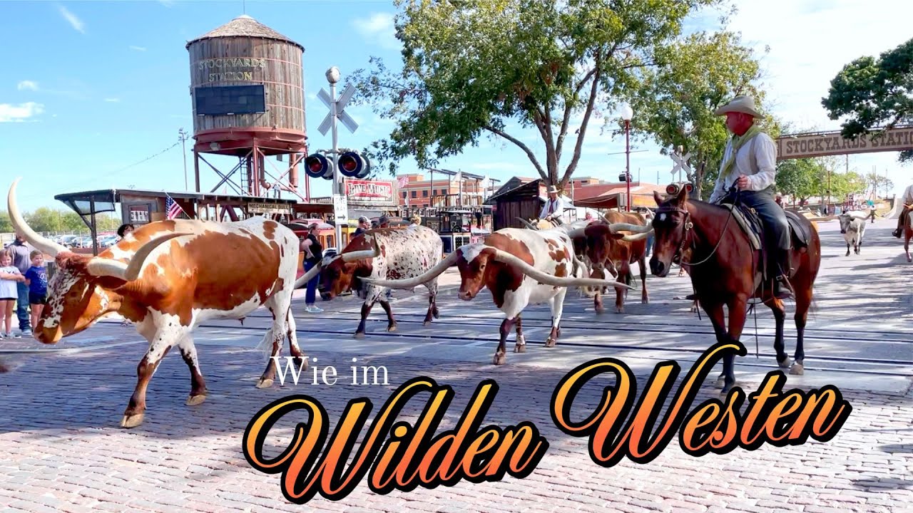 🇺🇸 Ein Tag in meinem Leben in den USA - Cowboys & Barbecue in Fort Worth Texas  USA Auswanderer VLOG