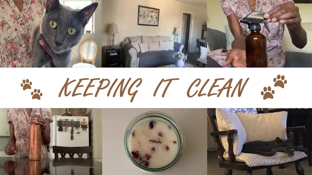Using natural products to freshen up my cottage styled apartment | Cleaning up after kitty 🐾