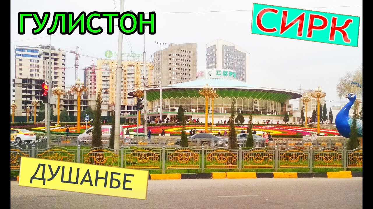 Душанбе Цирк, Гулистон - 2020 | Выпуск 33