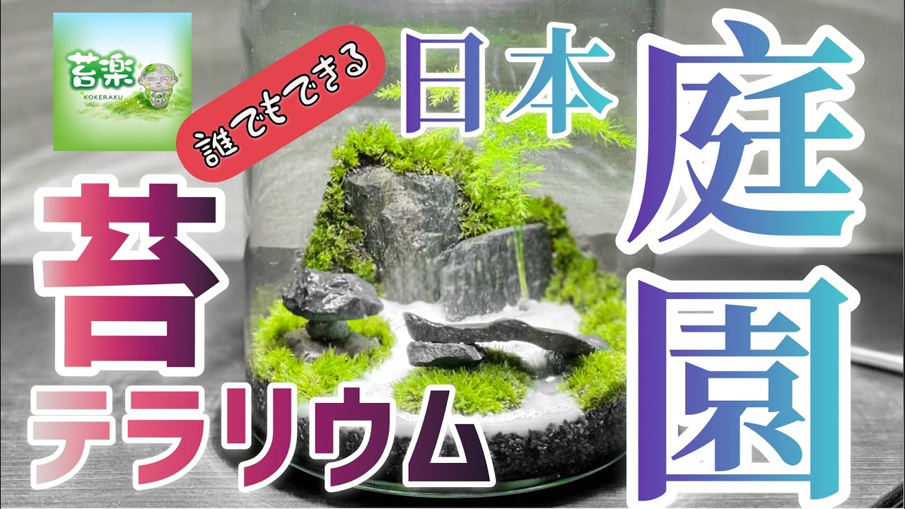 日本庭園風苔テラリウム【苔テラリウム制作】