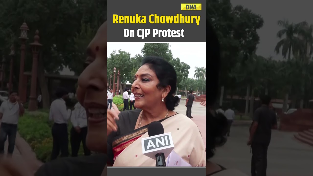 CJP Protest: 'Country Is Suffering' Congress MP Renuka Chowdhary Slams Govt Amid Sansad Protest