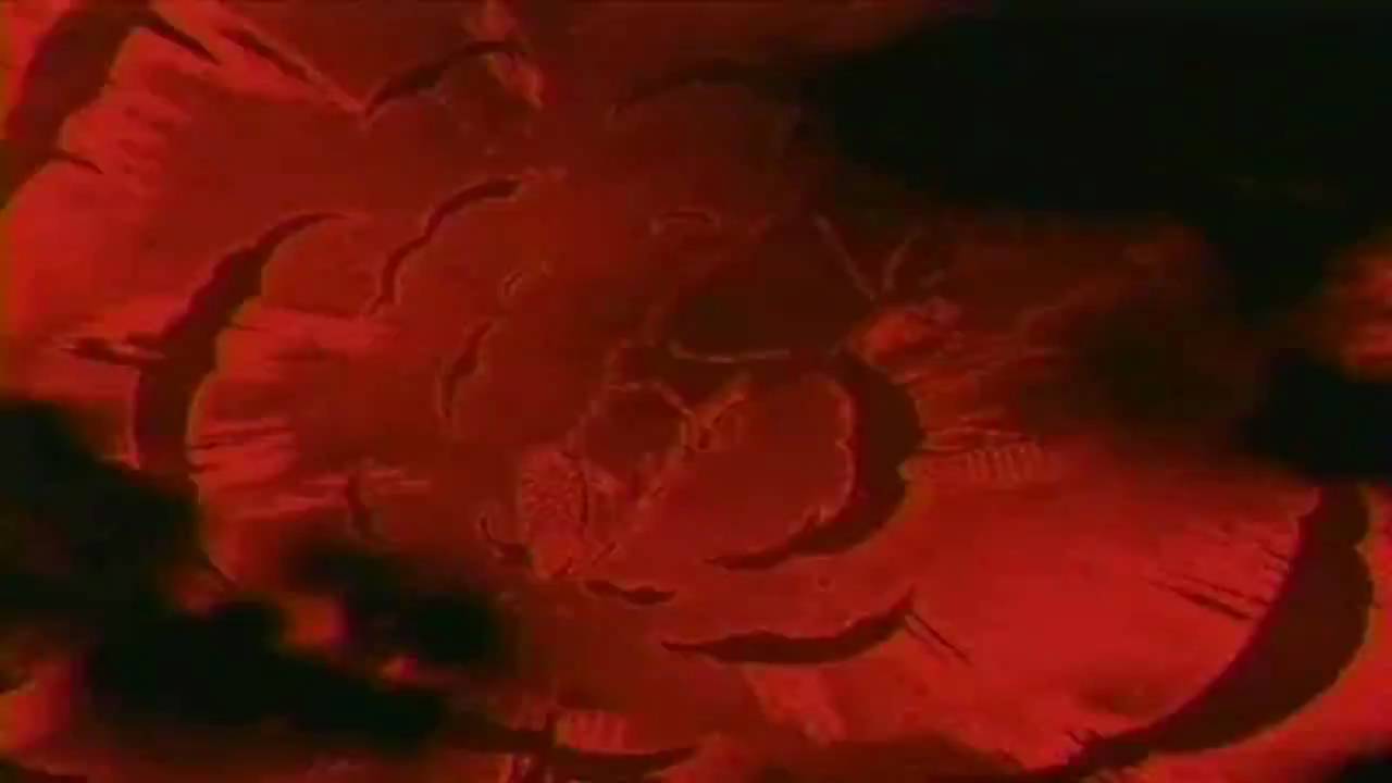Dragon Ball Z Uncut Intro HD
