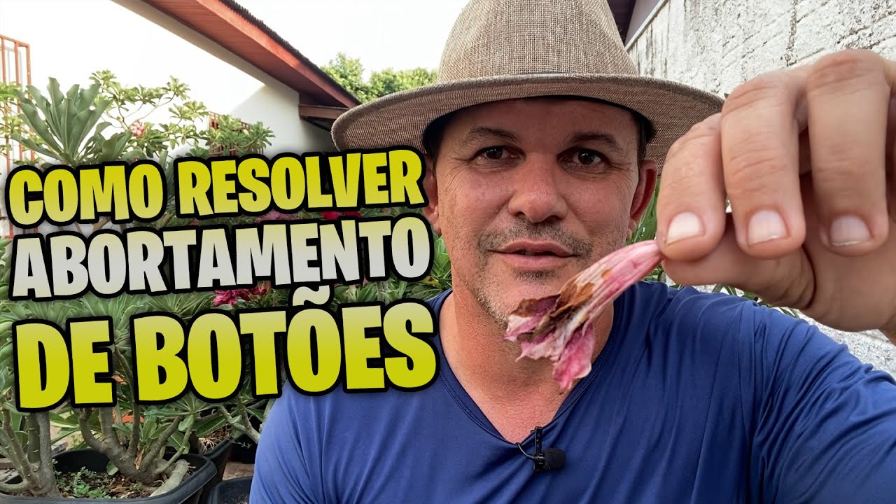 ✅ Como resolver o ABORTAMENTO de BOTÕES nas Rosas do Deserto