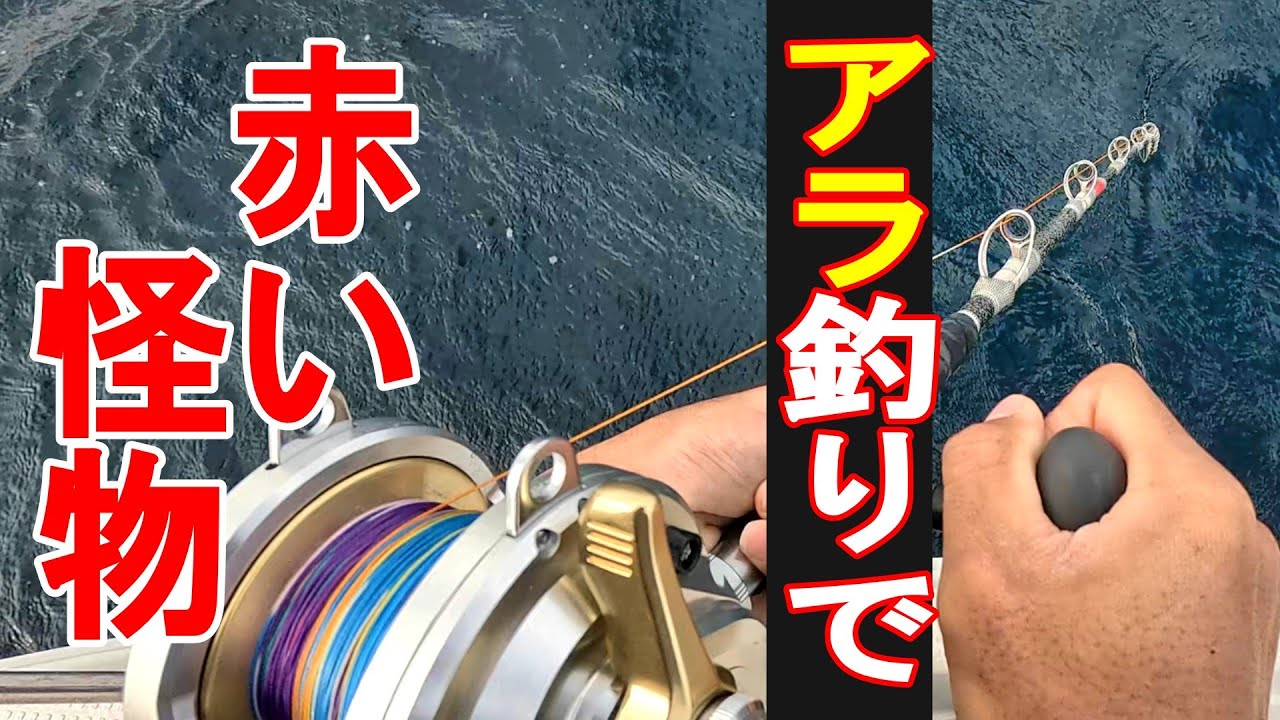 アラ（クエ）釣りしてたら赤い怪物に遭遇！？超高級魚！