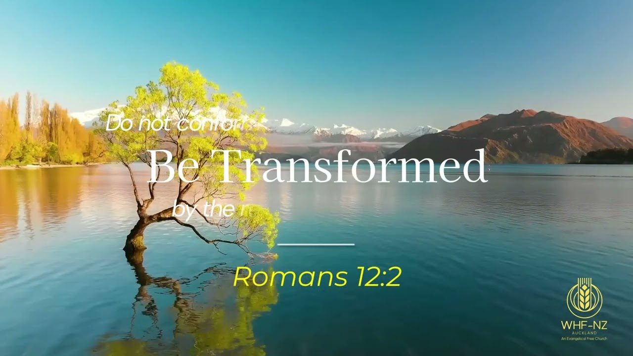 WHF Scripture Arts   2026   New Zealand Edition