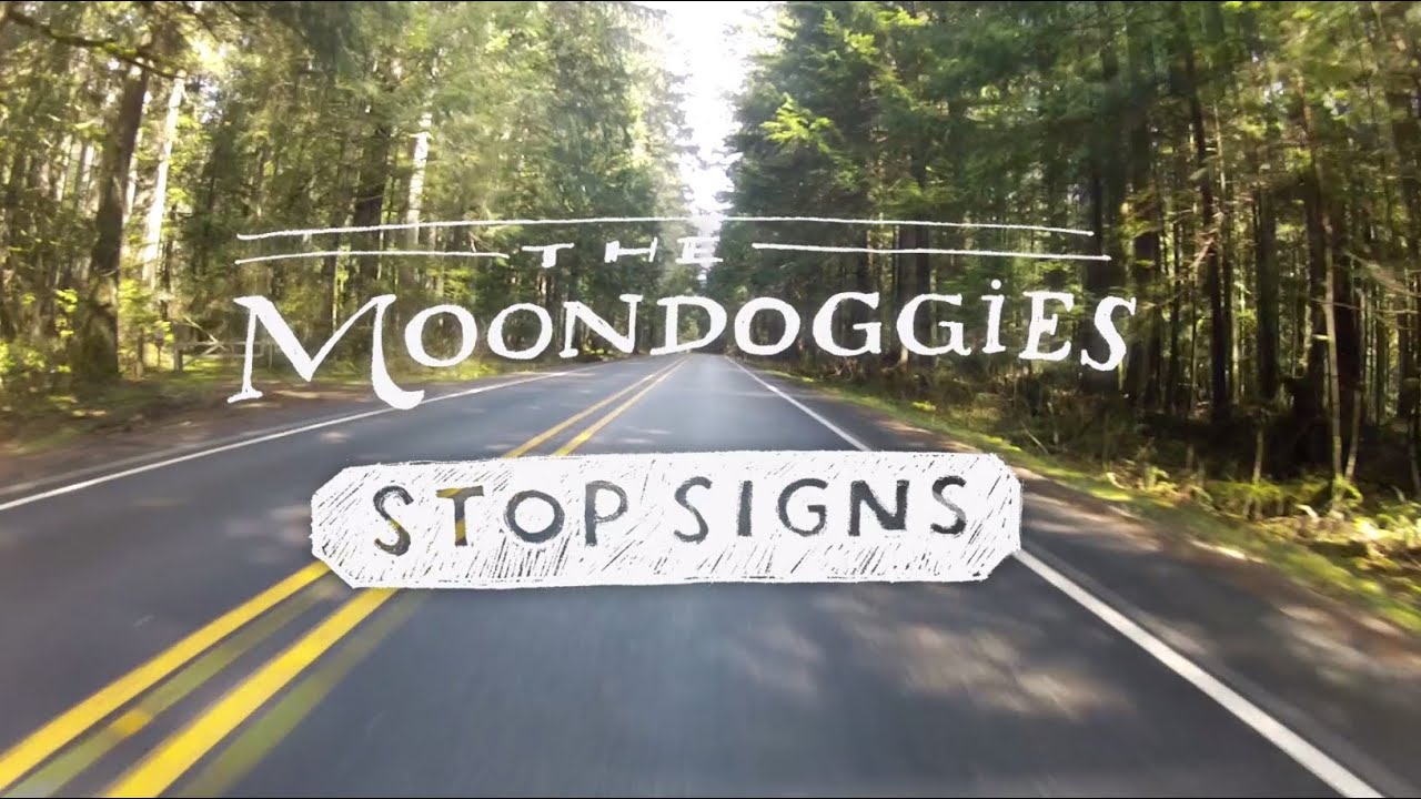 The Moondoggies - 