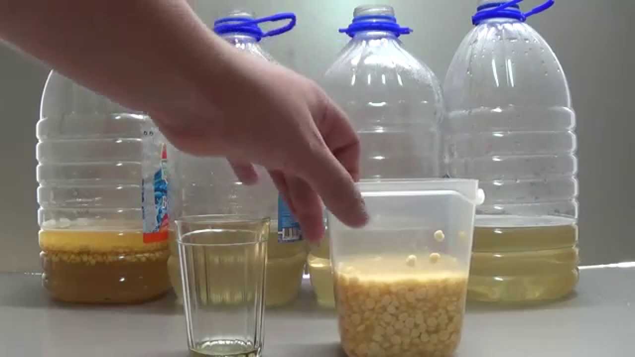Брага с горохом