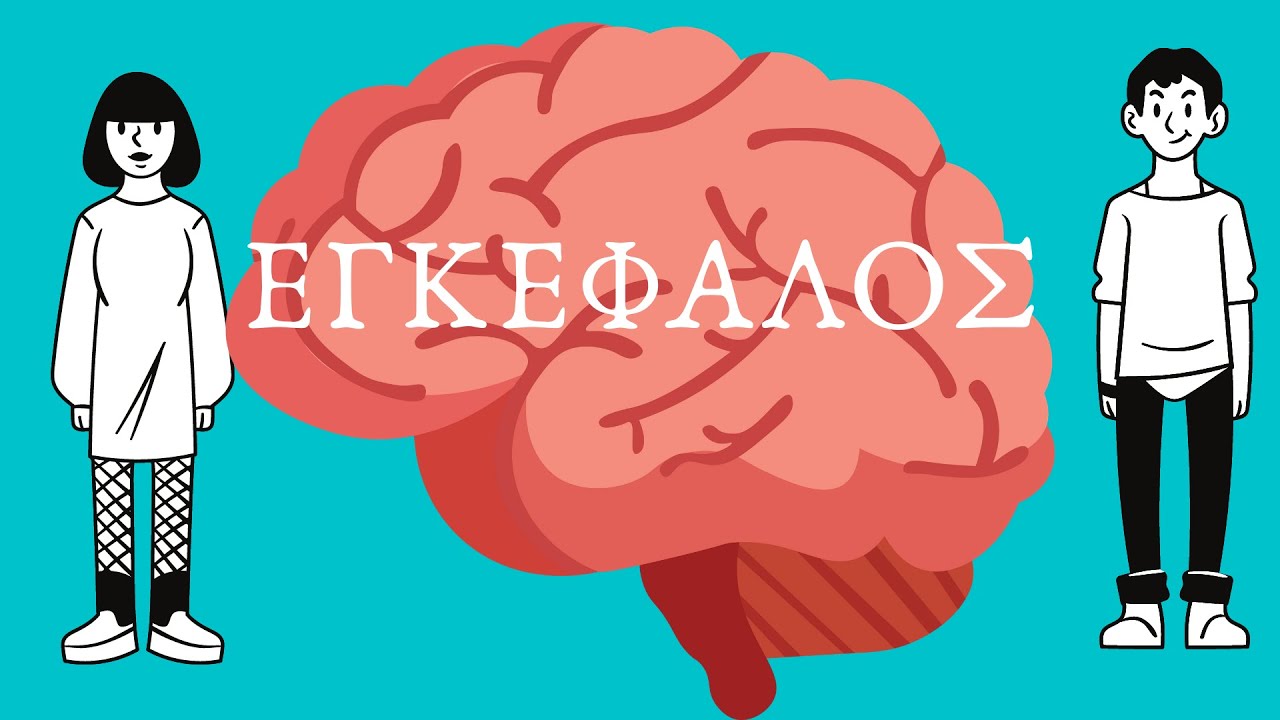 ΣΩΜΑ Εγκέφαλος ΝΗΠΙΑΓΩΓΕΙΟ- ΔΗΜΟΤΙΚΟ