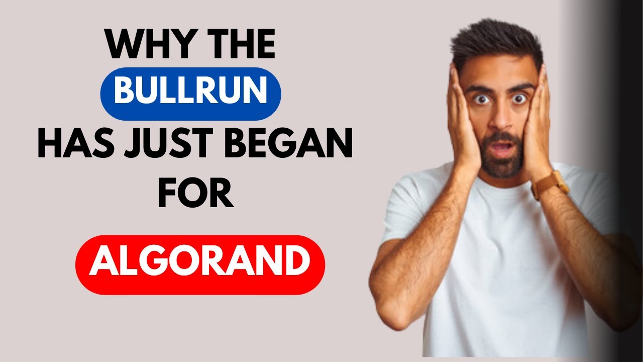 ALGO: 3 reasons Why the ALGORAND BULLRUN Has Just BEGAN