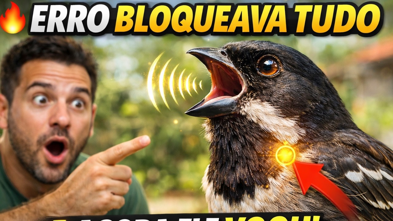 Parei de cometer ESTE erro e meu pássaro virou uma máquina de cantar!