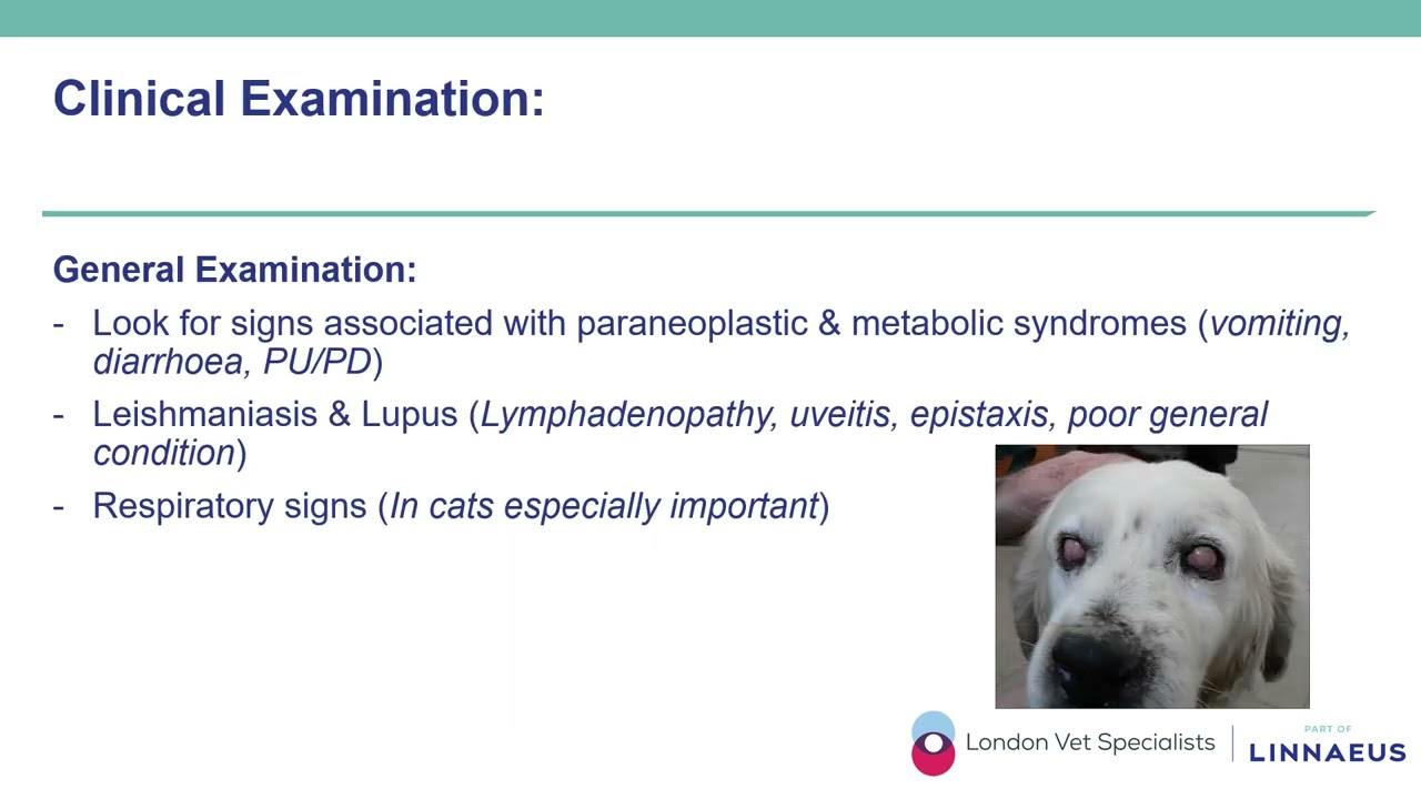 LVS Dermatology CPD: Approach to Facial Dermatoses
