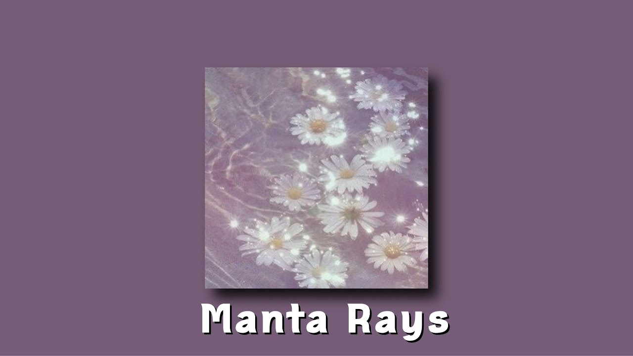chloe moriondo - manta rays (slowed)