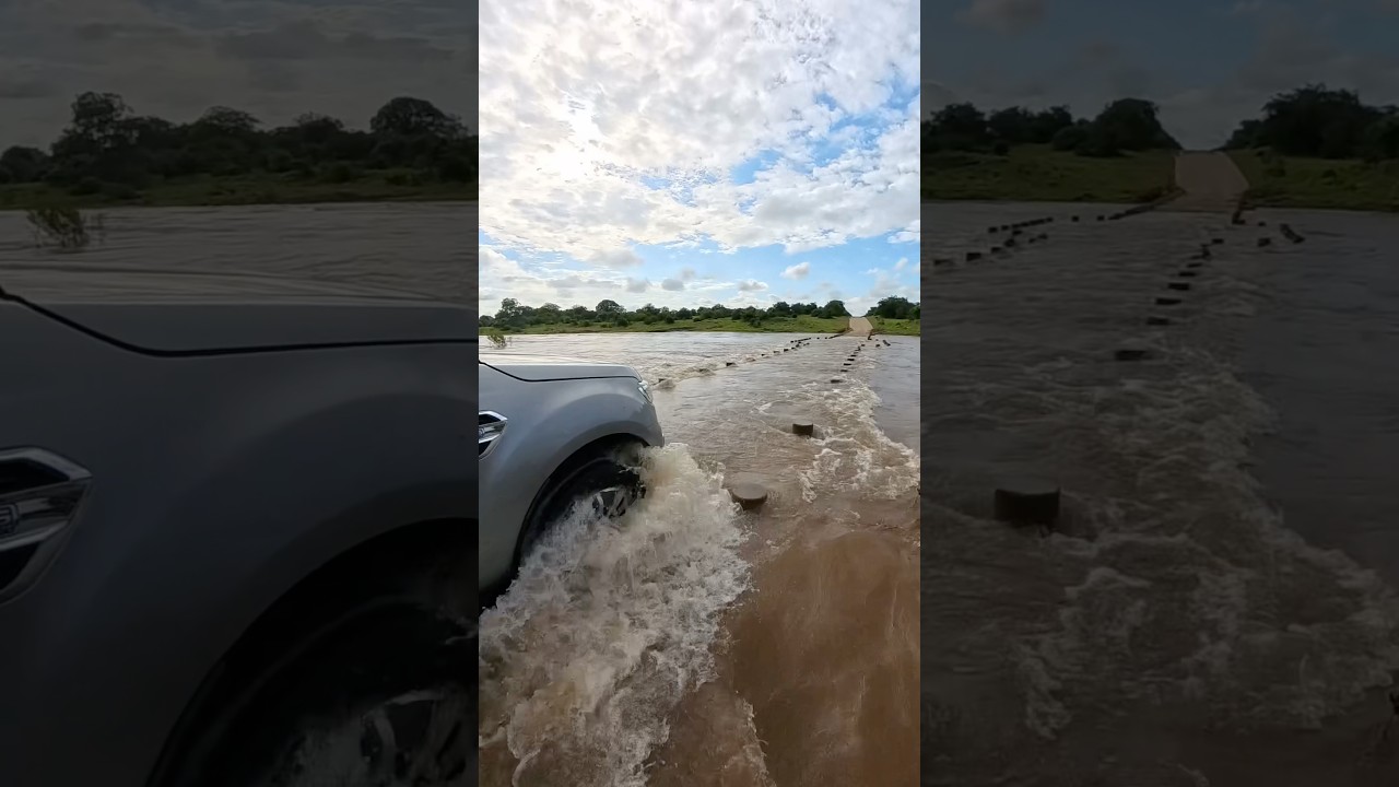 Balule Bridge water crossing! @KrugerNationalParkSA 