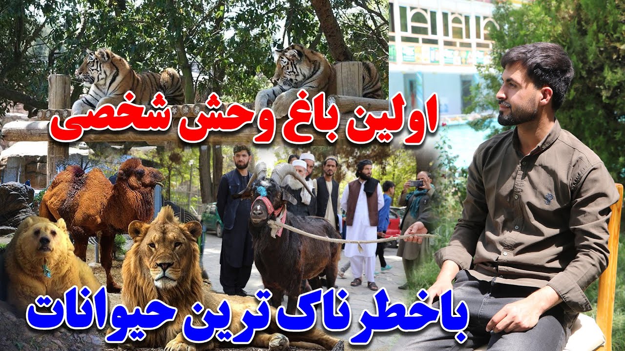 ساخت اولین باغ وحش شخصی با خطرناکترین حیوانات خارجی در هرات باستان