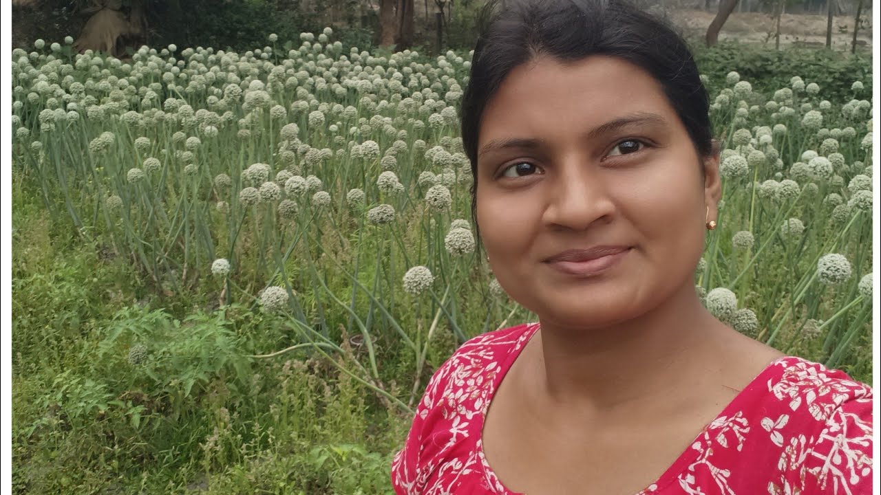 ঘরোয়া টোটকা দিয়ে হাতেনাতে ফল পেলাম। বাড়িতে নতুন সদস্যের আগমন।