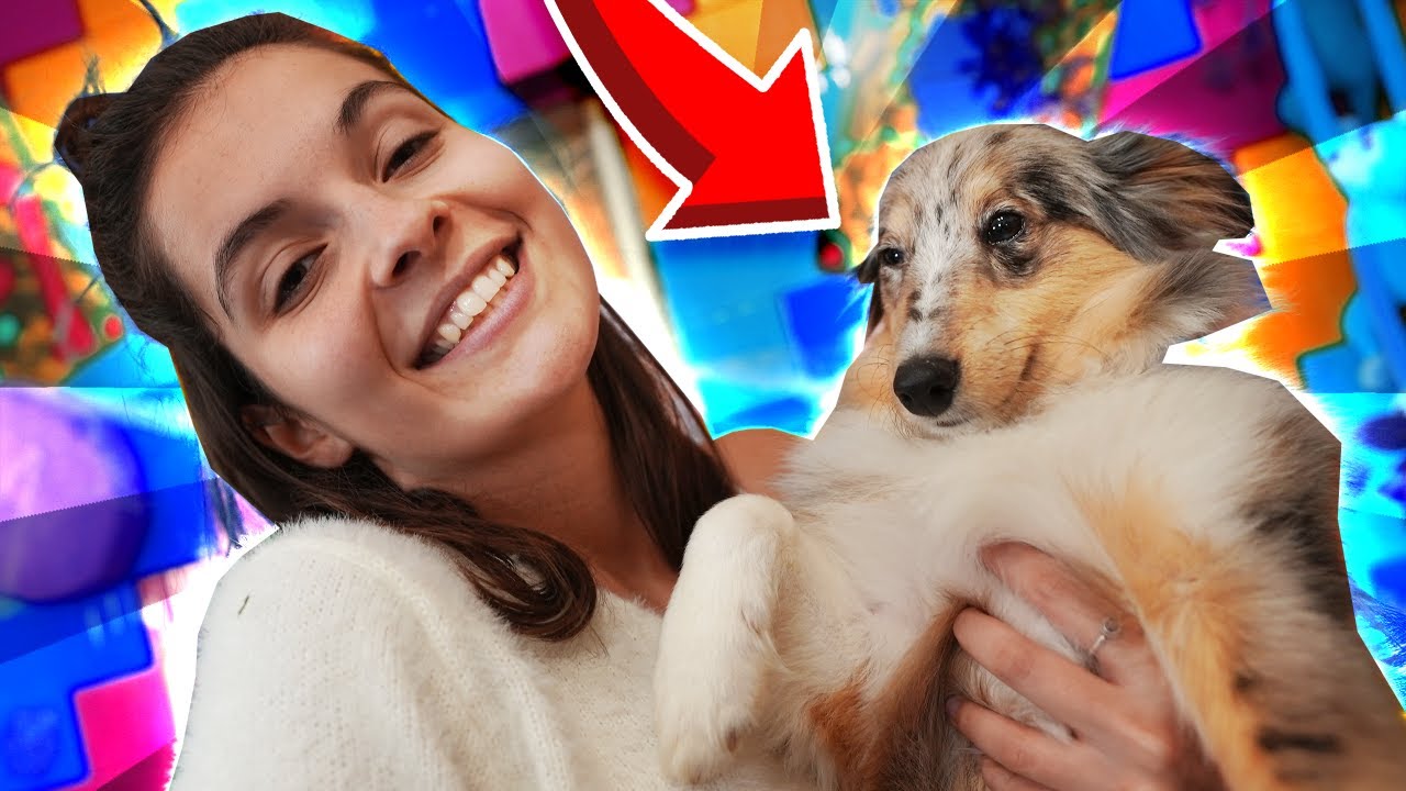 Ma première semaine avec LUCKY !