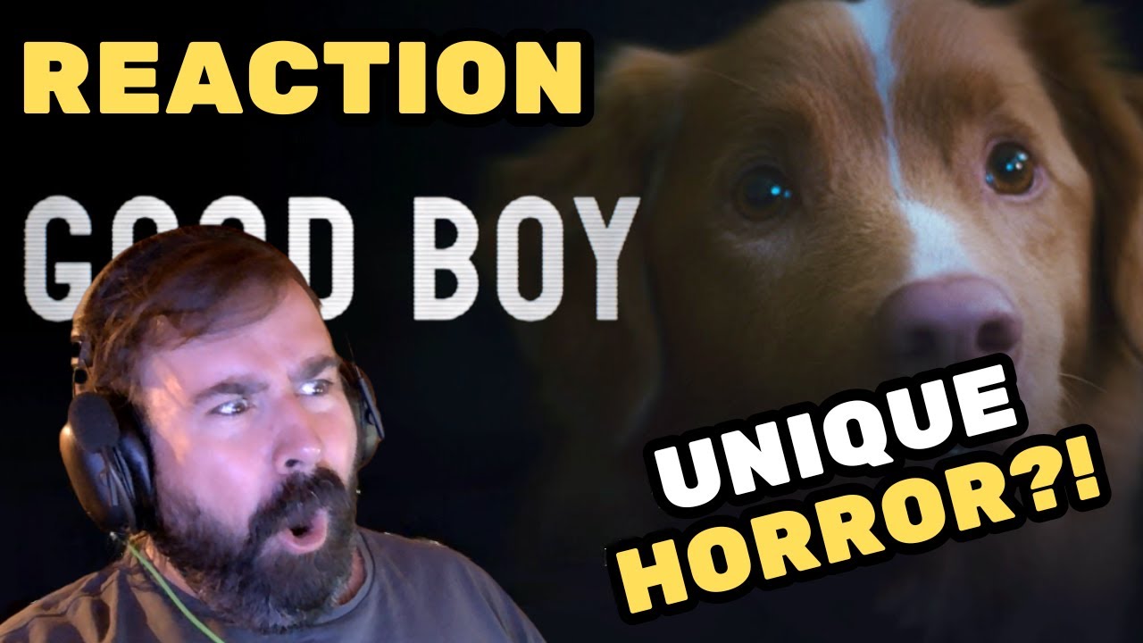 Good Boy - Official Trailer REACTION