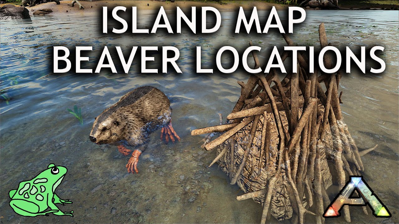Расположение плотин Бивер на карте острова: обновление Ark Survival Evolved Castoroides