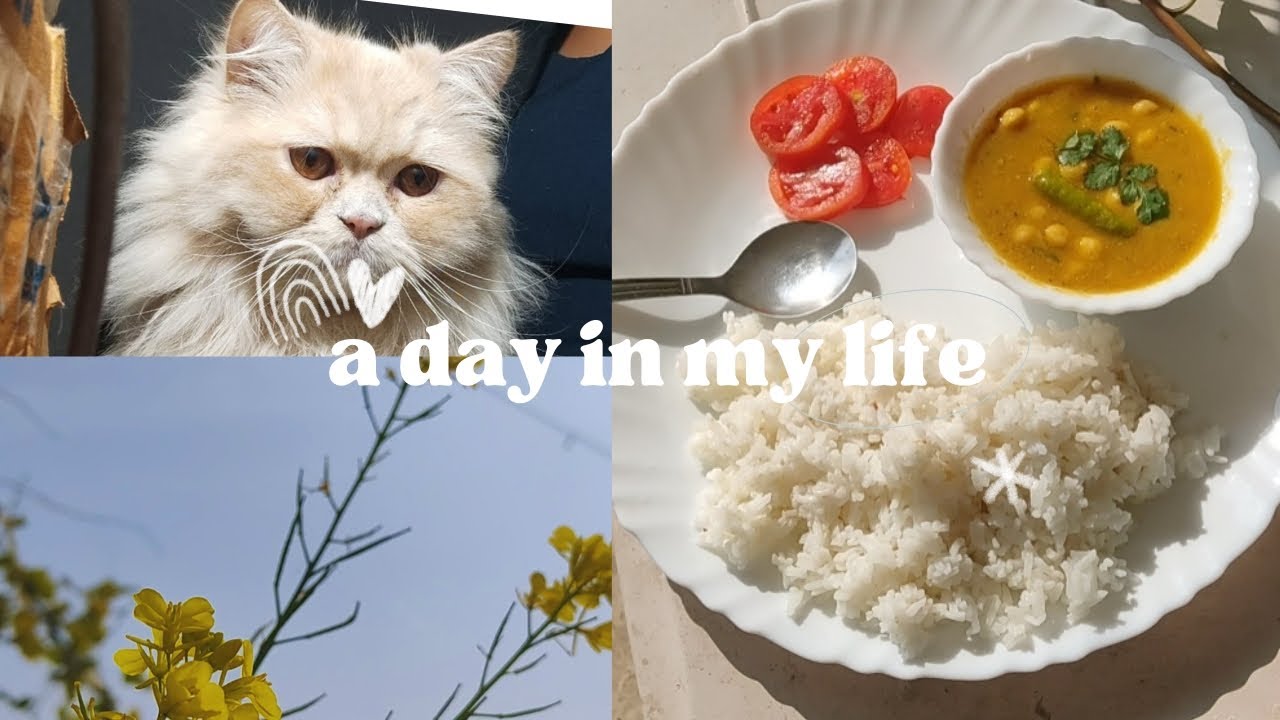 A DAY IN MY LIFE 💞❤️