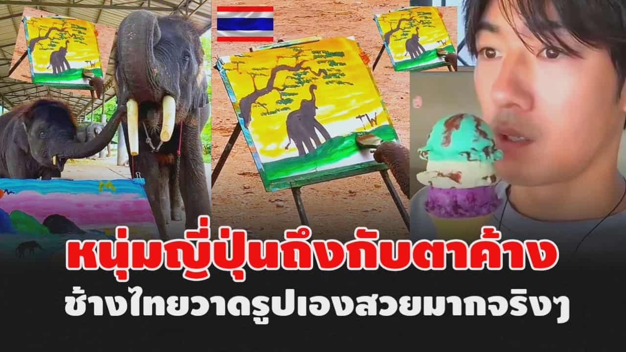 หนุ่มญี่ปุ่นถึงกับตาค้าง ช้างไทยวาดรูปเองสวยมากจริงๆ