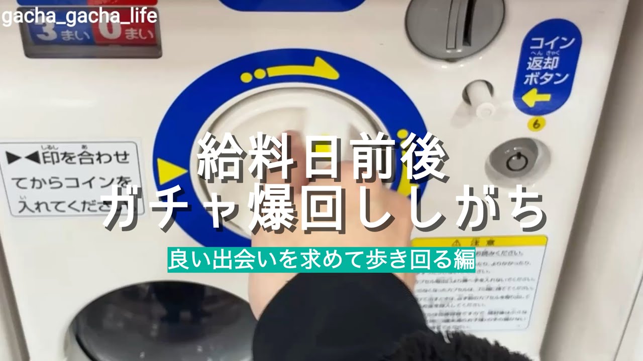【ガチャ活】給料日前後はガチャにお金が溶けていく... #ガチャ #ガチャ活 #ガチャガチャ #新作ガチャ 
