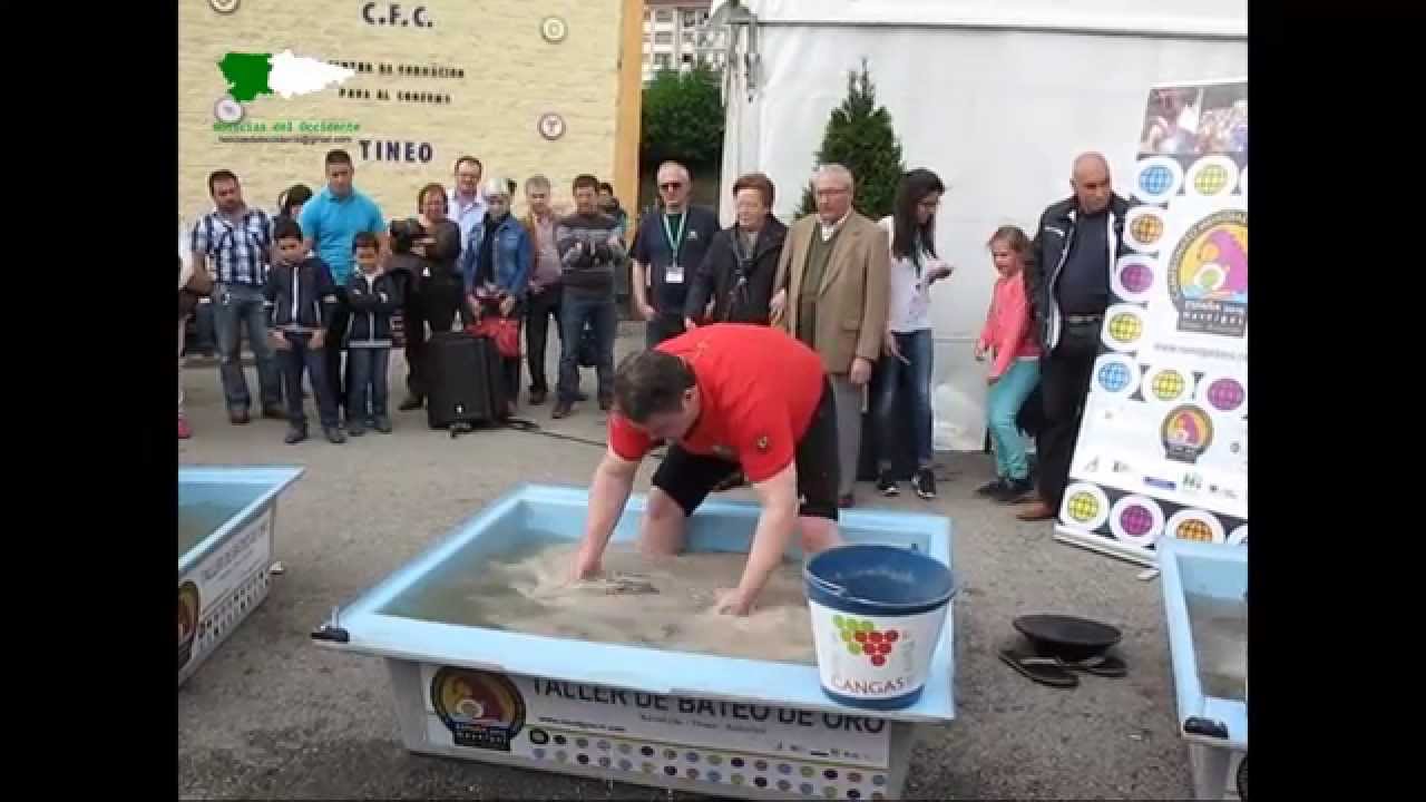 Bateo de oro en la Feria de Muestras de Tineo 2015