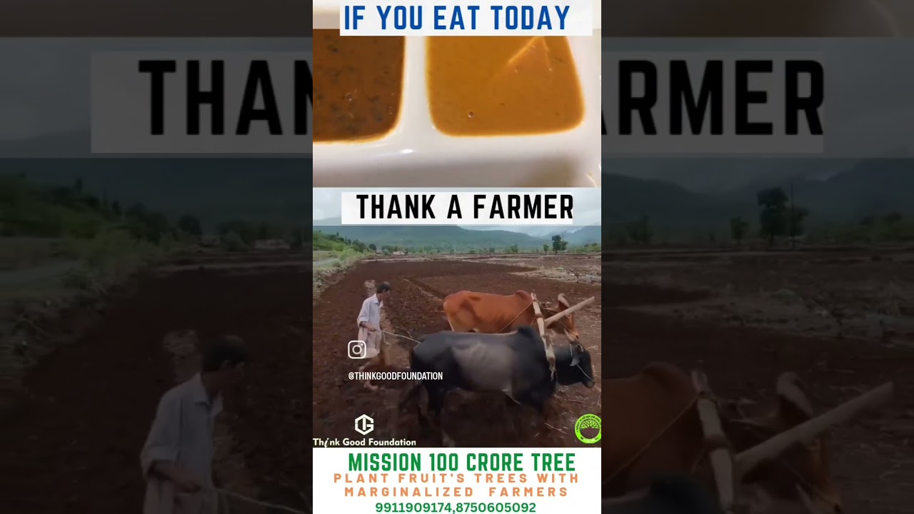 Support Farmers: Plant fruit's trees with them.  #Farmers  #agriculture #climate