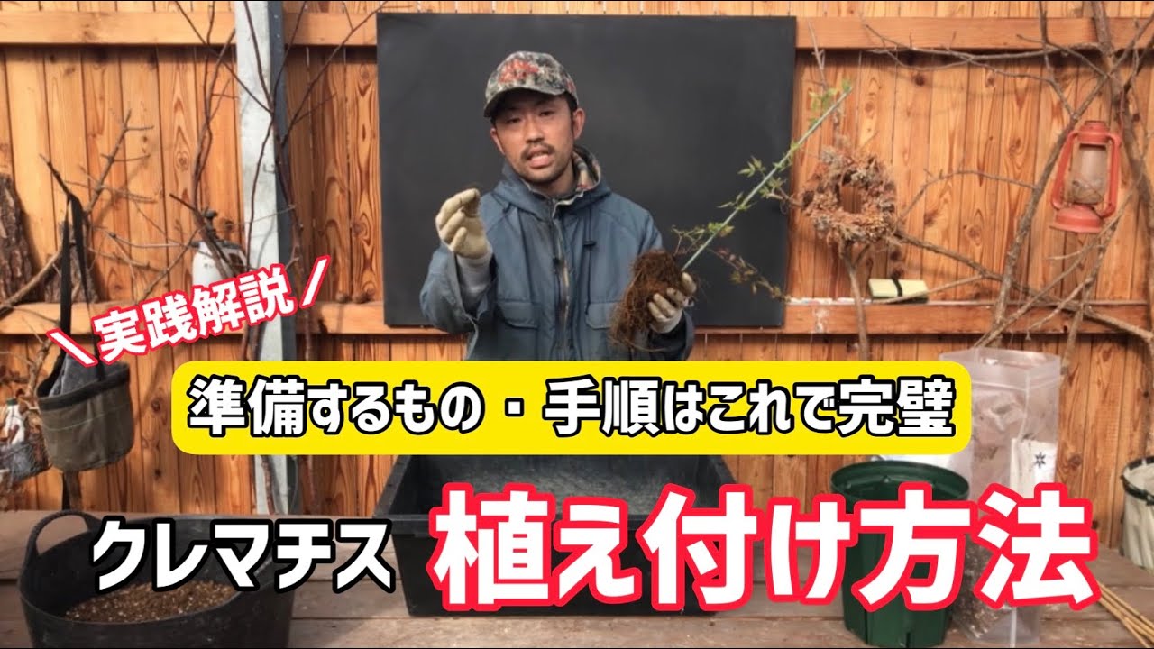 【園芸】クレマチスを鉢へ植え付けよう