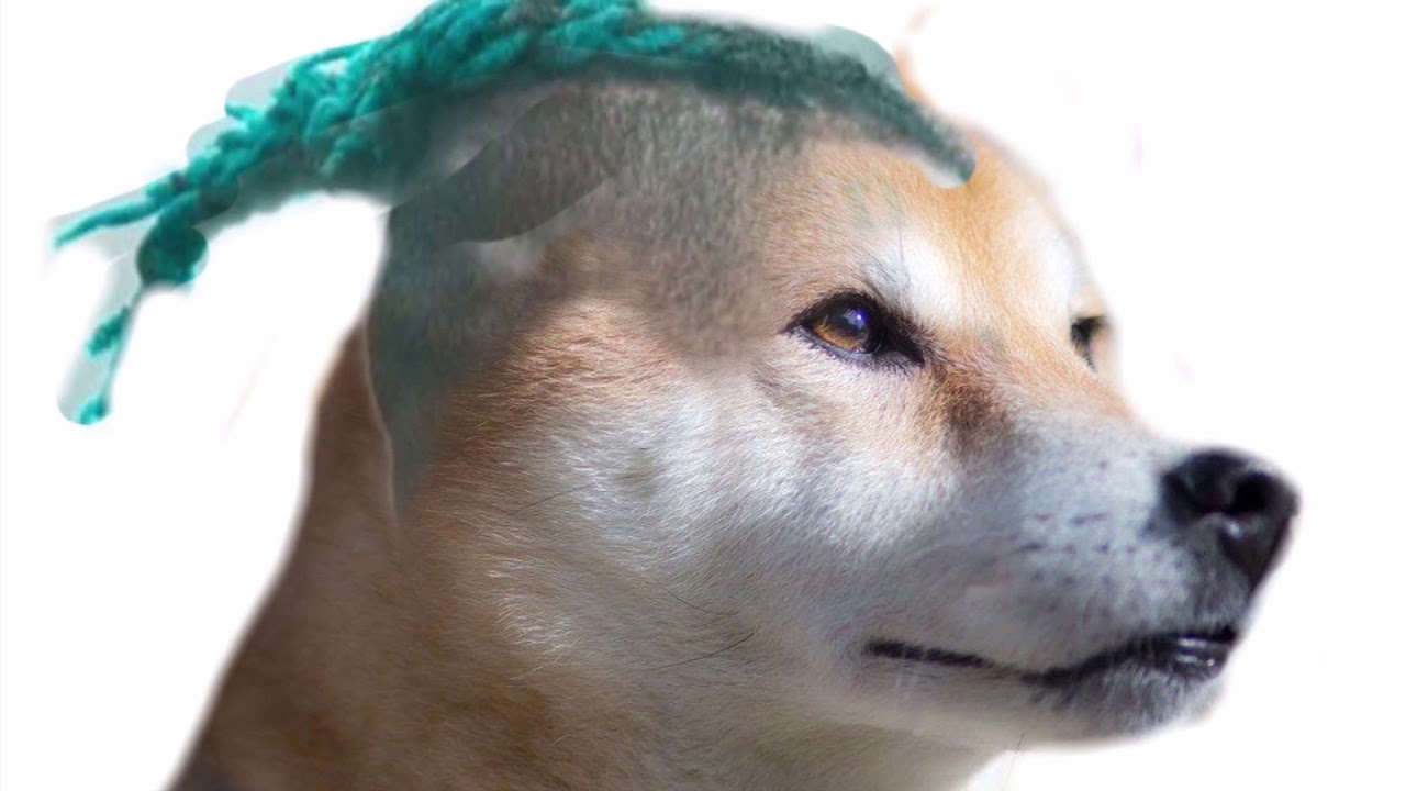 Dog with hat meme ps