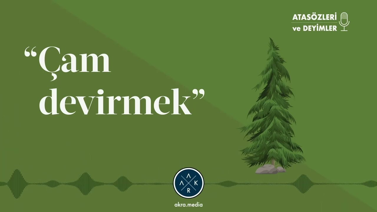 Çam Devirmek
