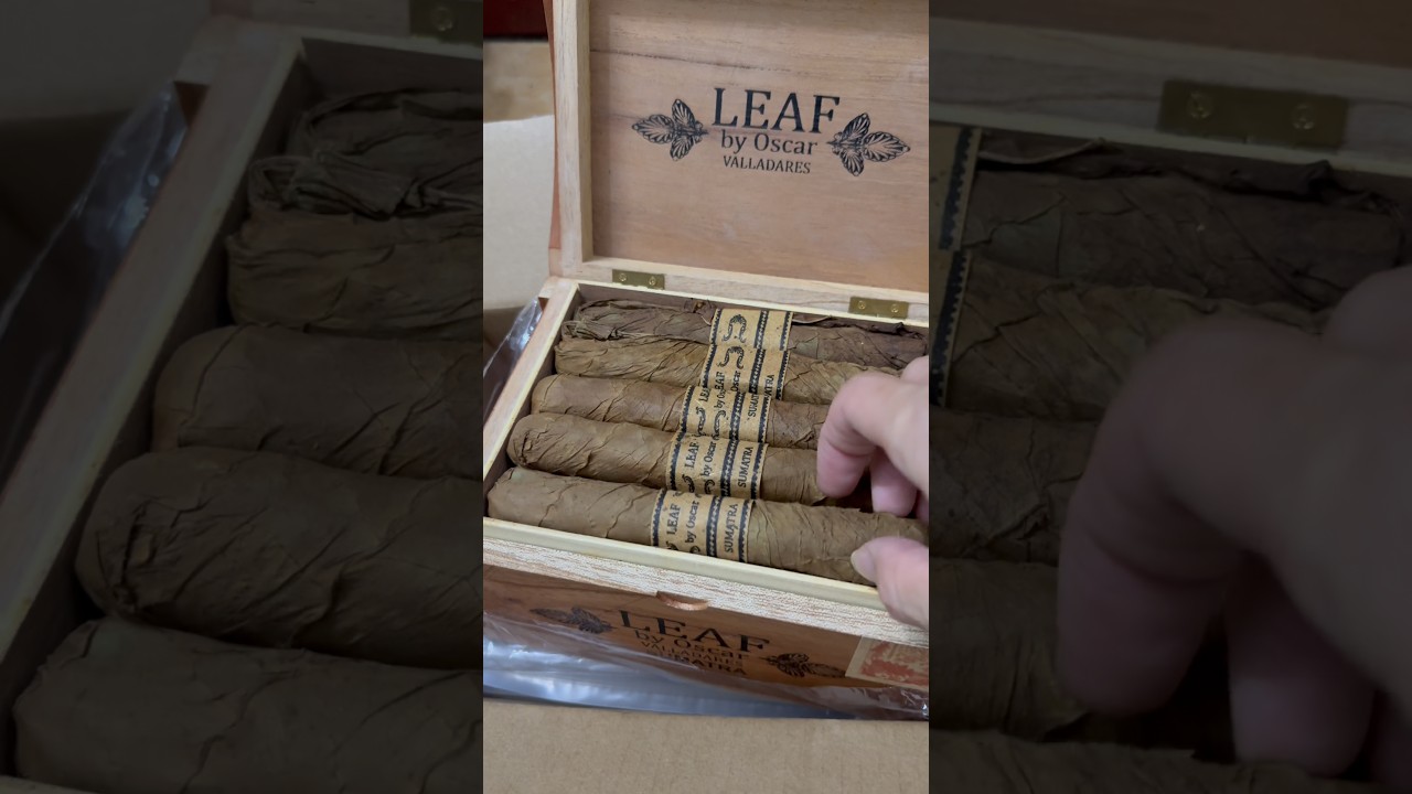 Unboxing Leaf by Oscar Sumatra cigar
