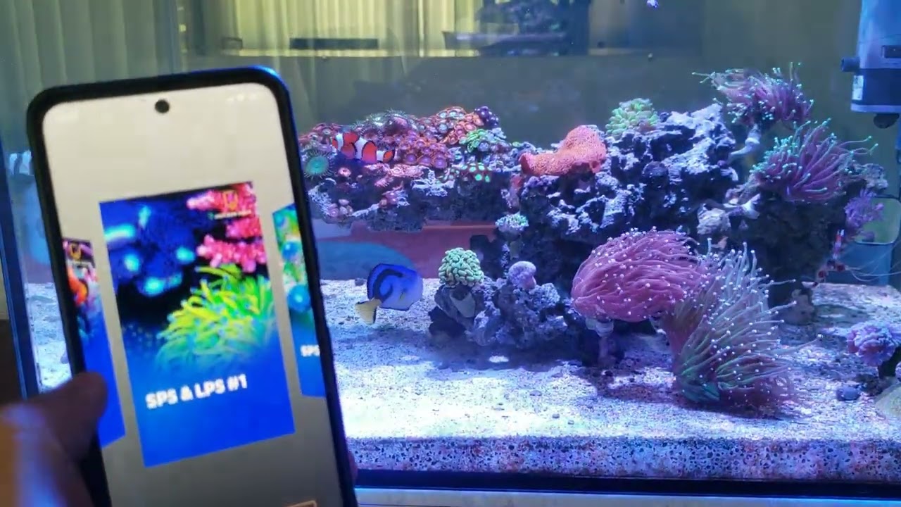 Aquario marinho sem grana kkkkkkk Review da luminária Zetlight X9