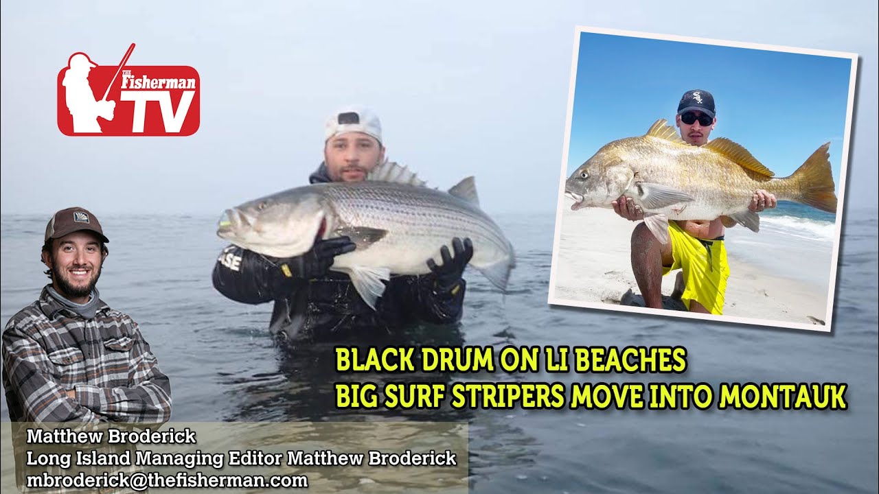June 15, 2023 Long Island Metro Fishing Report with Matthew Broderick