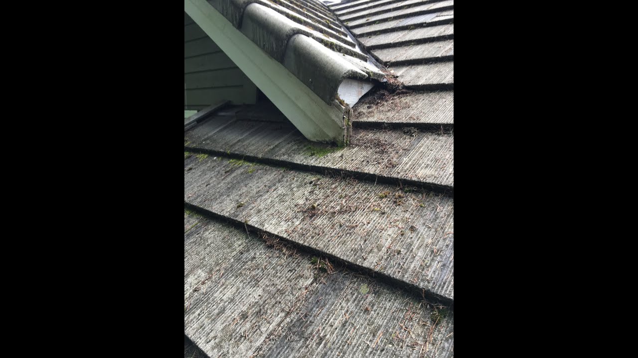 Chinook Services Moss Roof Soft Wash Cleaning Seattle, Bellevue, Everett, Redmond, Sammamish, WA