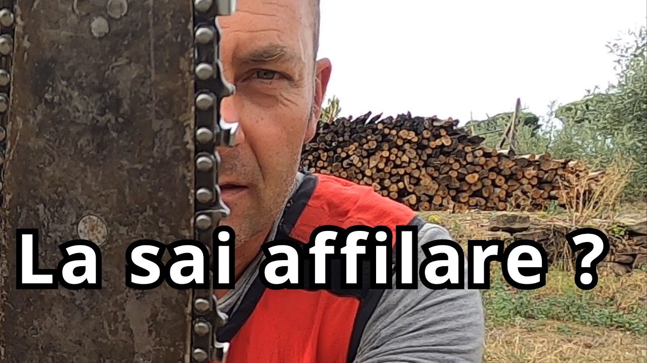 Come affilare al catena della motosega