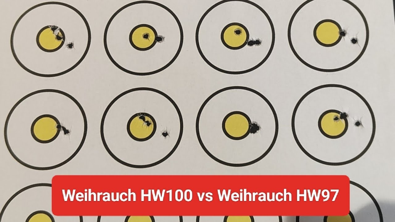 PCP Vs Spring air rifle | Weihrauch HW100 Vs HW97